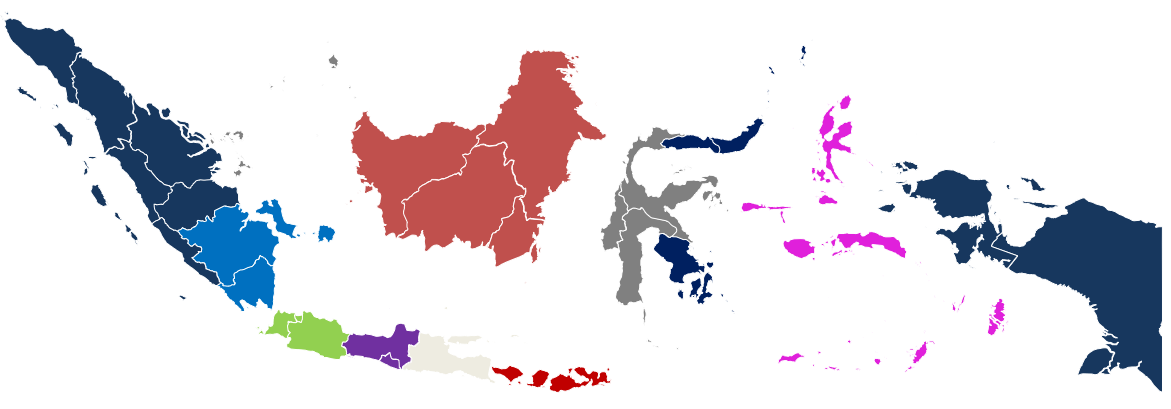 Electronic Data Capture for Dietary Survey 2025